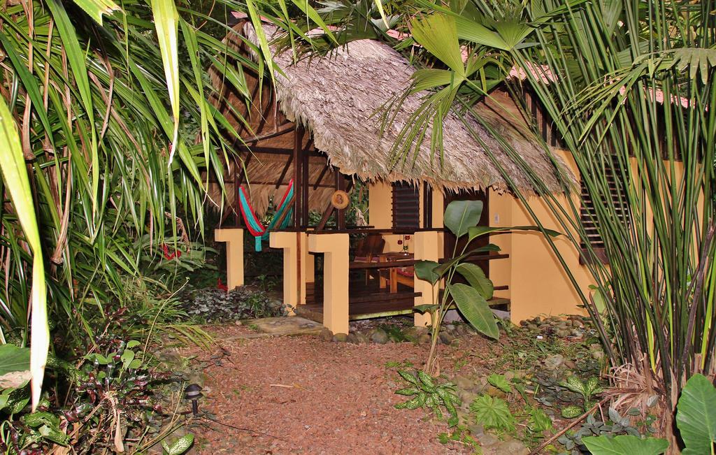 Caribe Town Bungalows Puerto Viejo de Talamanca Номер фото