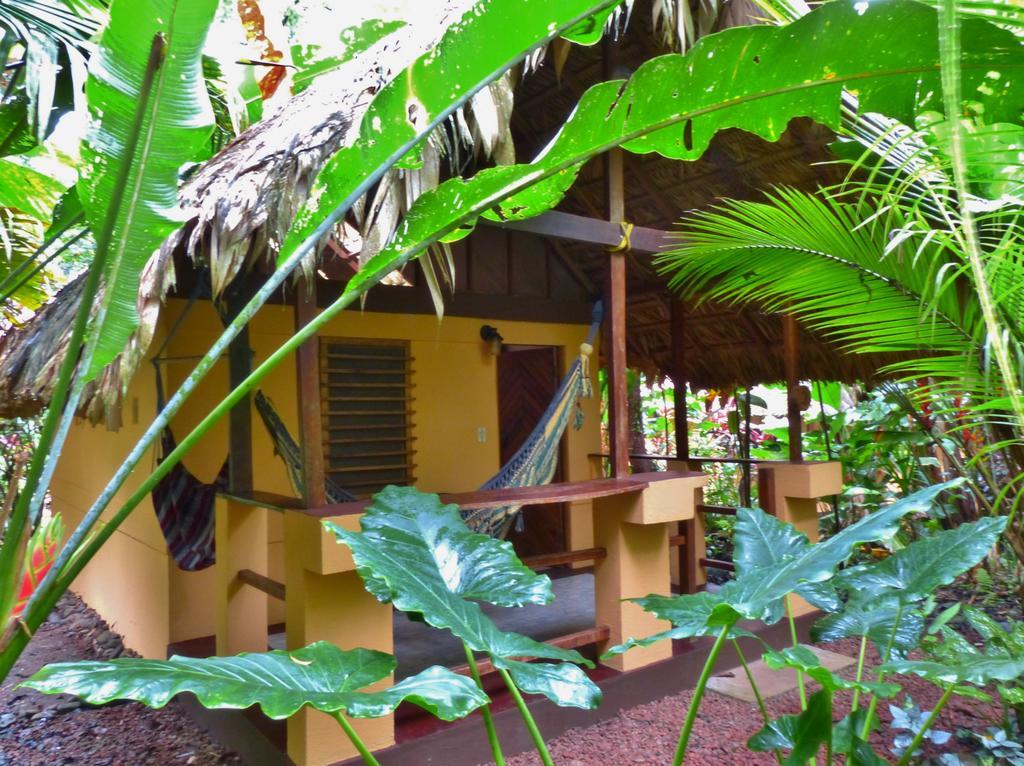 Caribe Town Bungalows Puerto Viejo de Talamanca Номер фото