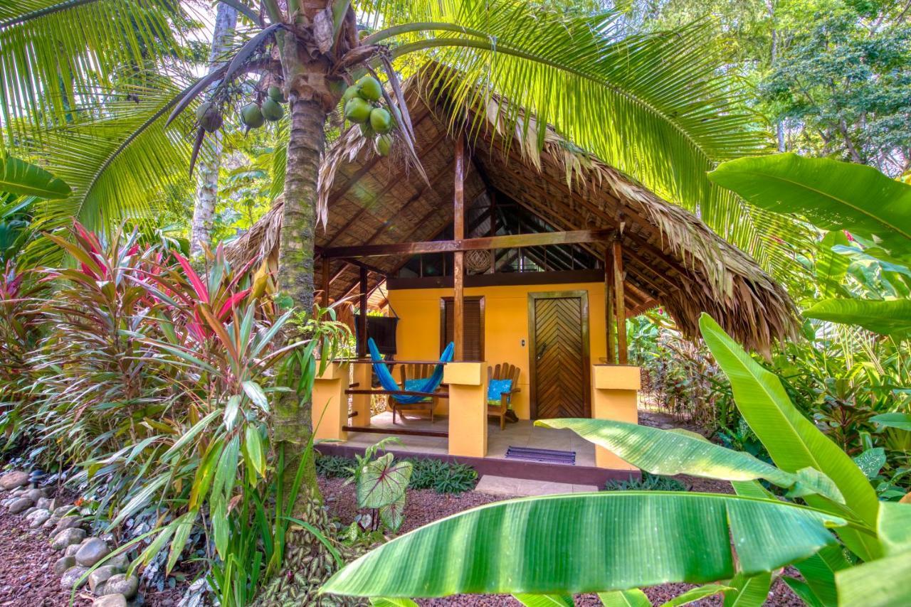 Caribe Town Bungalows Puerto Viejo de Talamanca Экстерьер фото