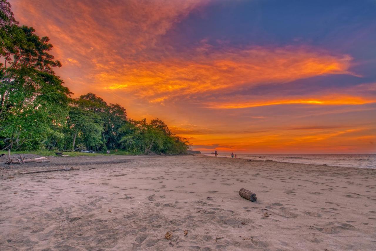 Caribe Town Bungalows Puerto Viejo de Talamanca Экстерьер фото
