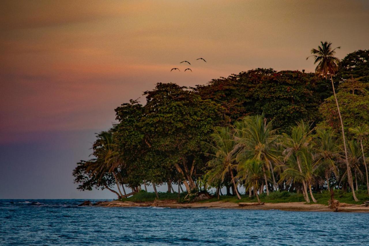 Caribe Town Bungalows Puerto Viejo de Talamanca Экстерьер фото